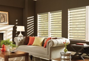 Dual/Layered Shades