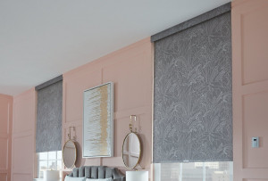 Roller Shades