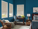 Roller Shades