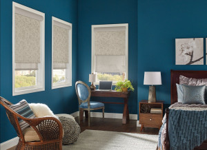 Roller Shades