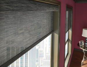 Roller Shades